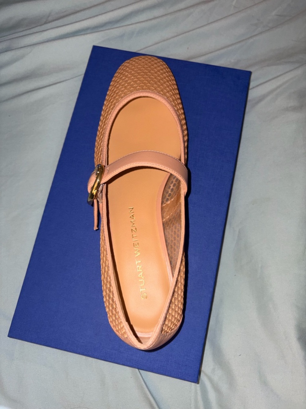 Stuart Weitzman Woven Mary Jane Flat with Gold Buckle